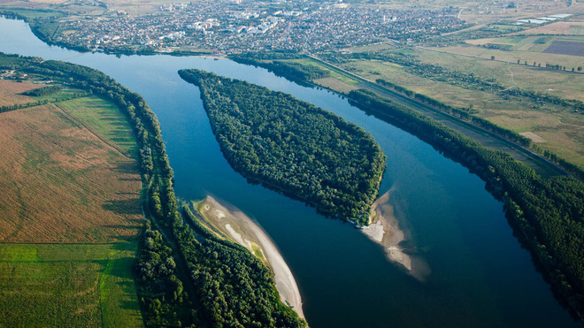 Кампания за есетрите в Дунав